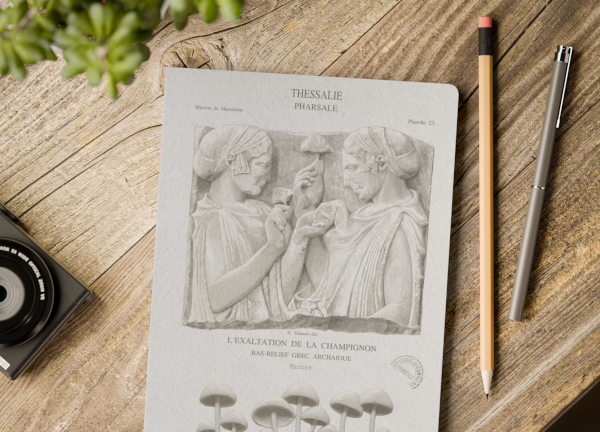 Exaltation De La Champignon Journal Cover